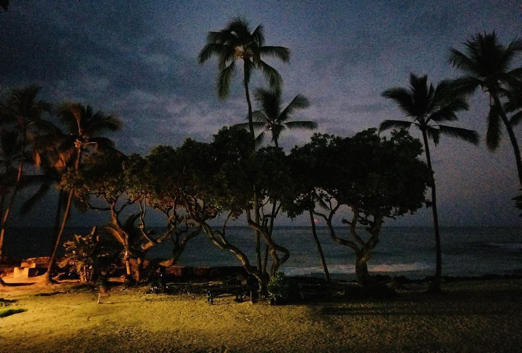 Kona Magic Honu Room Kailua-Kona Exteriér fotografie