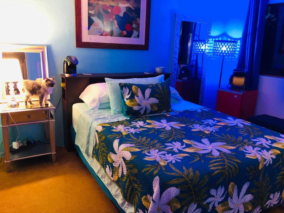 Kona Magic Honu Room Kailua-Kona Exteriér fotografie